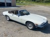 1989 Jaguar XJ-S Convertible