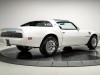 1980 Pontiac Firebird Trans Am
